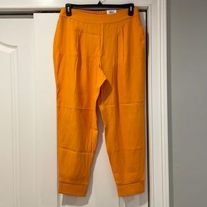 Inc. Joggers/Trousers